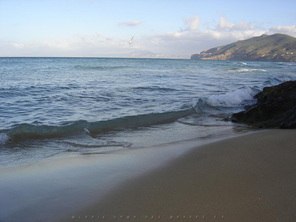 ORAN 2005 PARADIS PLAGE APRES MIDI D HIVER  (1).jpg